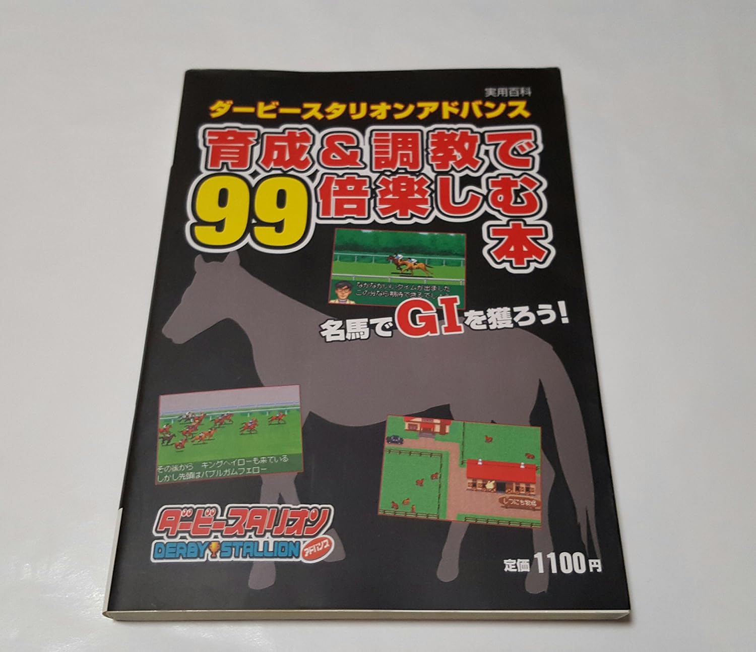 ダービースタリオンアドバンス育成&調教で99倍楽しむ本
 (実用百科)
